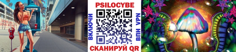 хочу   Куровское  Галлюциногенные грибы Psilocybe 